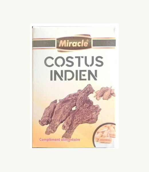 Costus Indien